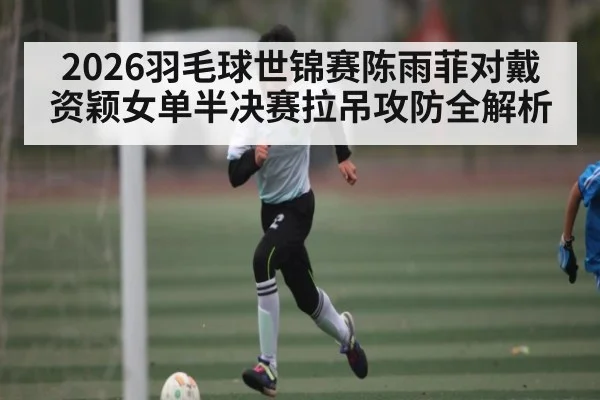 2026羽毛球世锦赛陈雨菲对戴资颖女单半决赛拉吊攻防全解析